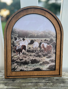 Southwest and Farm Framed Canvas Prints