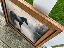Load image into Gallery viewer, Horse Framed Canvas Prints