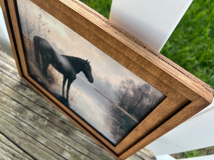 Horse Framed Canvas Prints