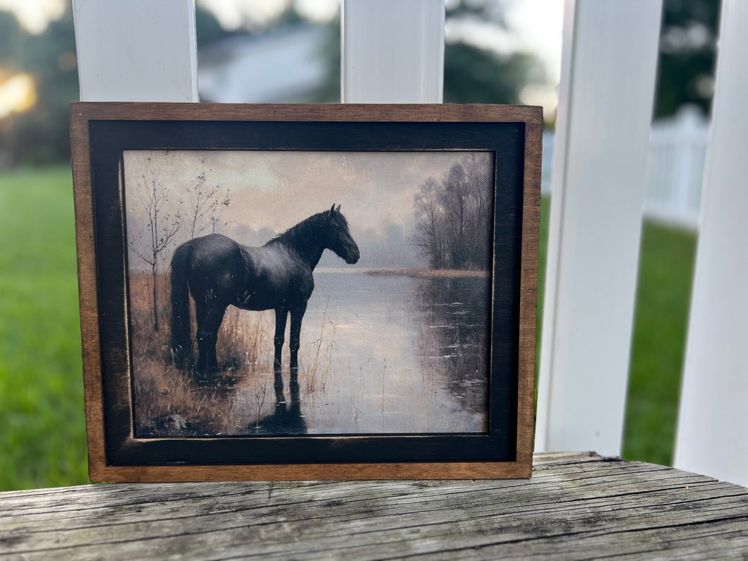 Horse Framed Canvas Prints