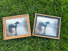 Load image into Gallery viewer, Horse Framed Canvas Prints