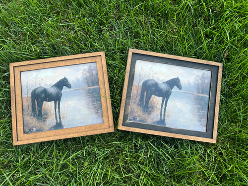 Horse Framed Canvas Prints