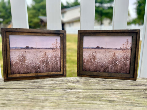 Framed Prints
