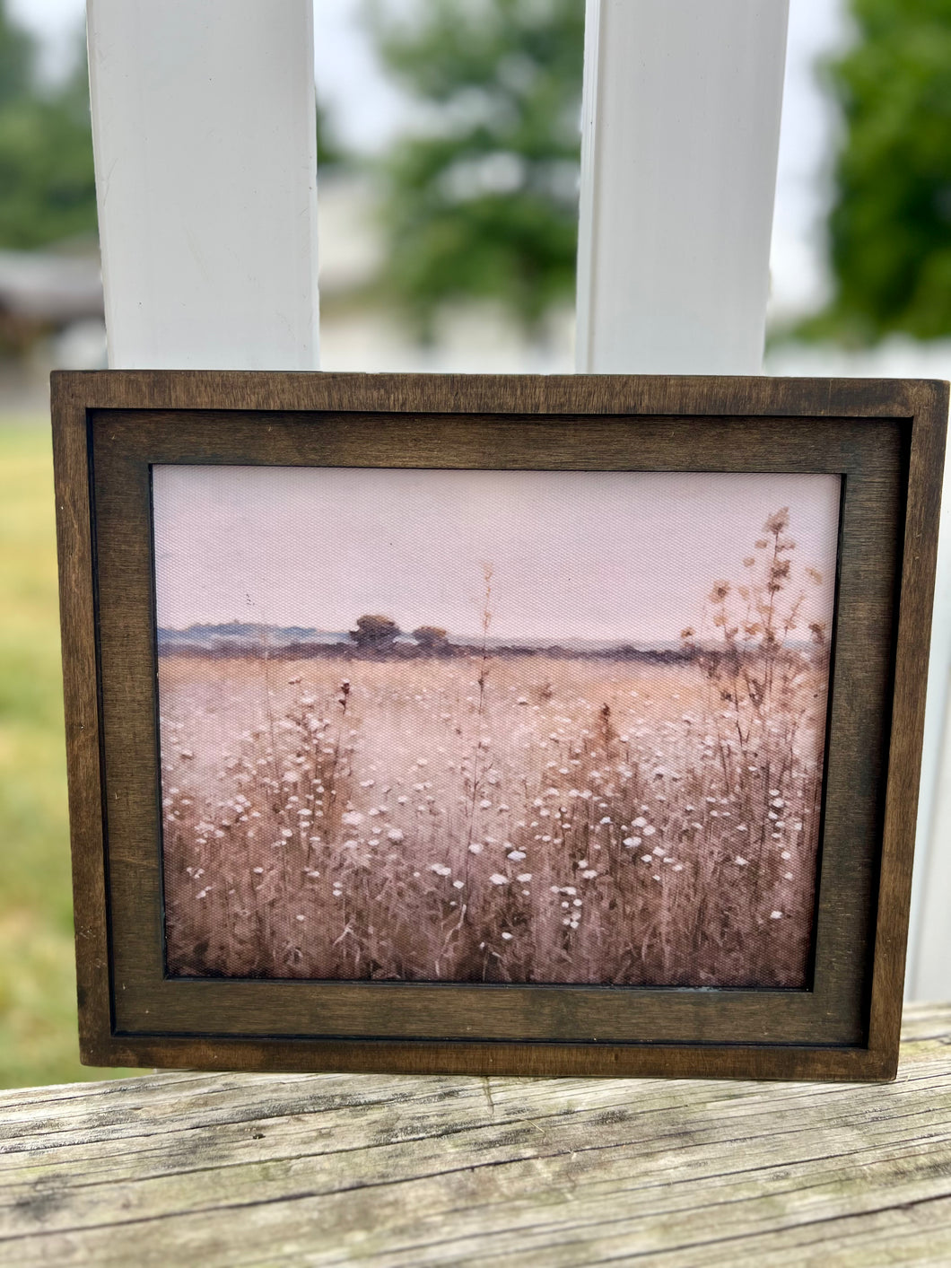 Framed Prints