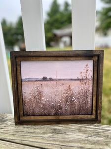 Framed Prints