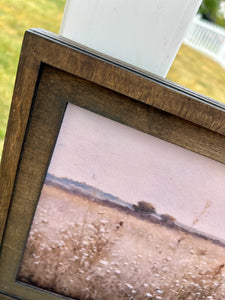 Framed Prints