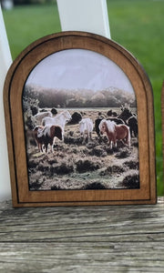 Southwest and Farm Framed Canvas Prints