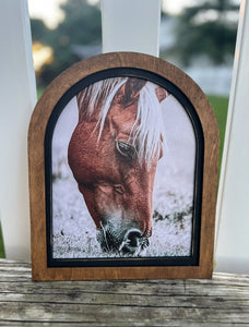 Southwest and Farm Framed Canvas Prints