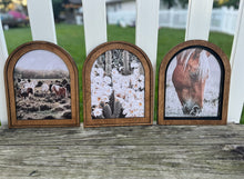 Load image into Gallery viewer, Southwest and Farm Framed Canvas Prints