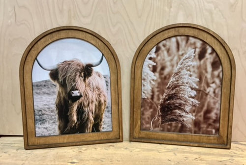 Southwest and Farm Framed Canvas Prints
