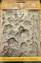 Load image into Gallery viewer, IOD Moulds