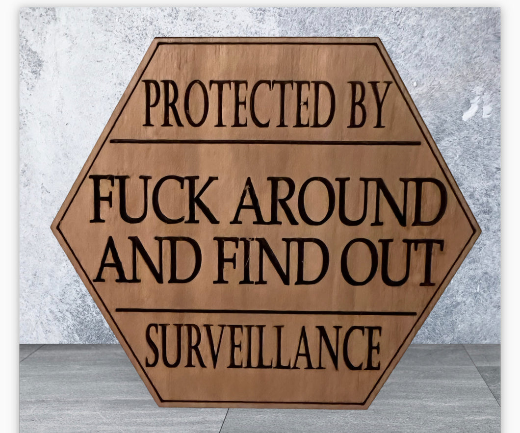 **READY TO SHIP** * Magnet * Protected by F**K Around and Find Out Surveillance