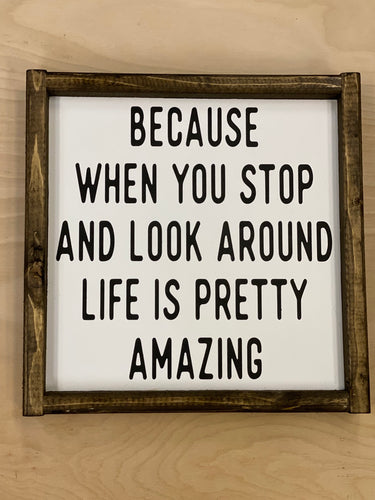 Because when you stop and look around life is pretty amazing.